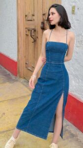 Denim Fitted Dress